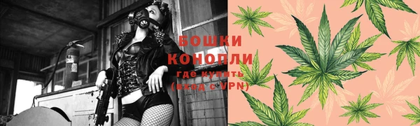 молекула духа Богородск