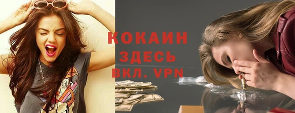 прущие грибы Богородицк