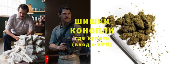 молекула духа Богородск