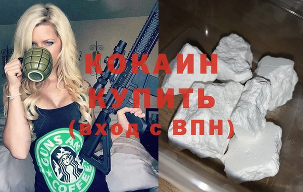 прущие грибы Богородицк