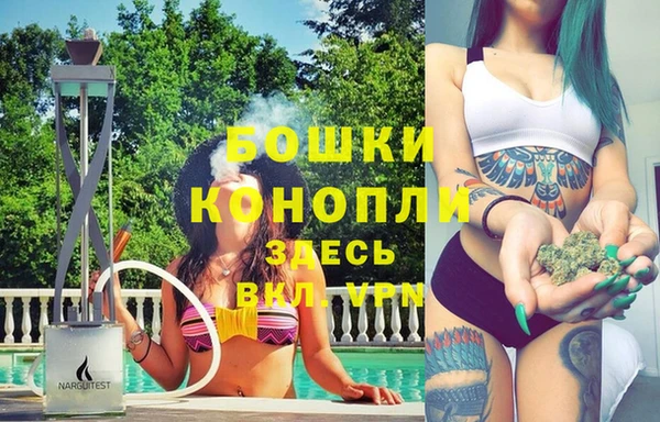 молекула духа Богородск