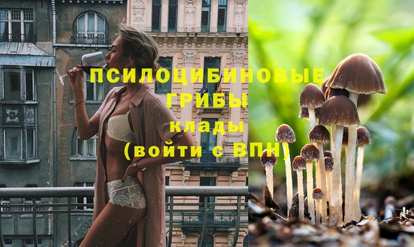 герыч Сосновый Бор