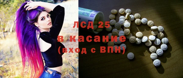 прущие грибы Богородицк