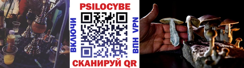 купить наркотики сайты  Светлый  Псилоцибиновые грибы ЛСД 